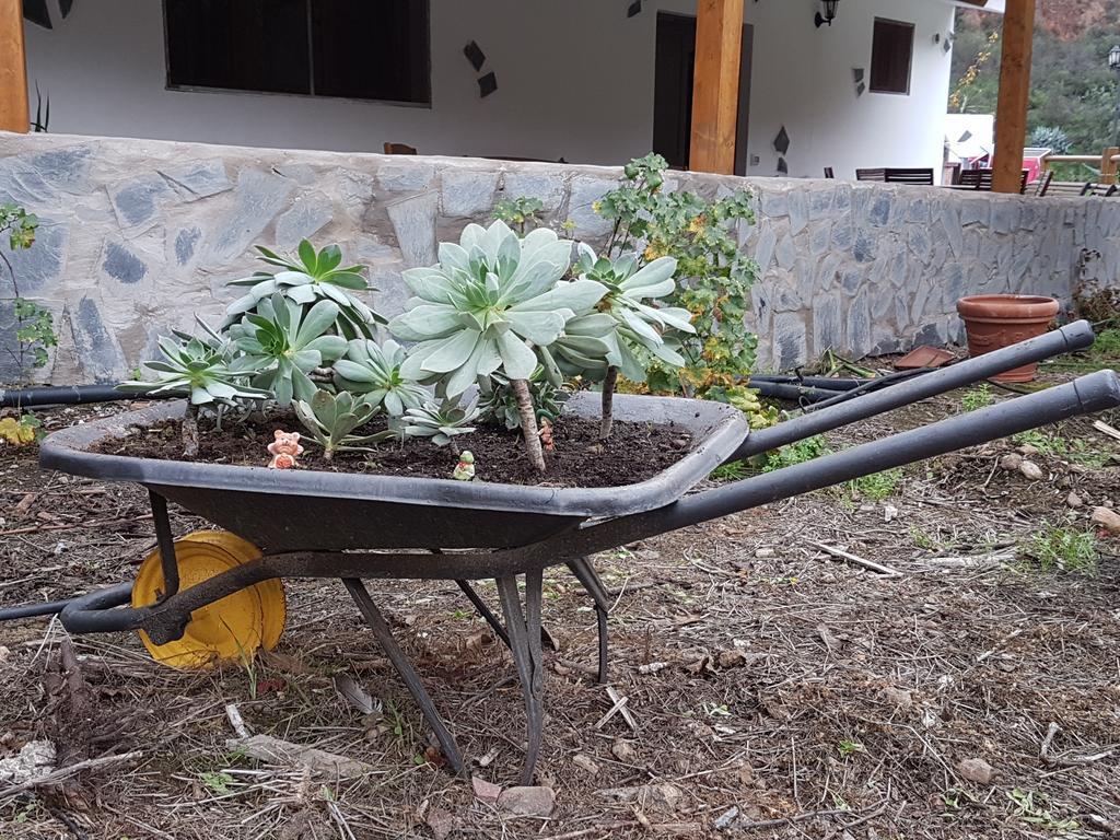 Casa Rural La Hoyita De Tunte San Bartolomé Kültér fotó