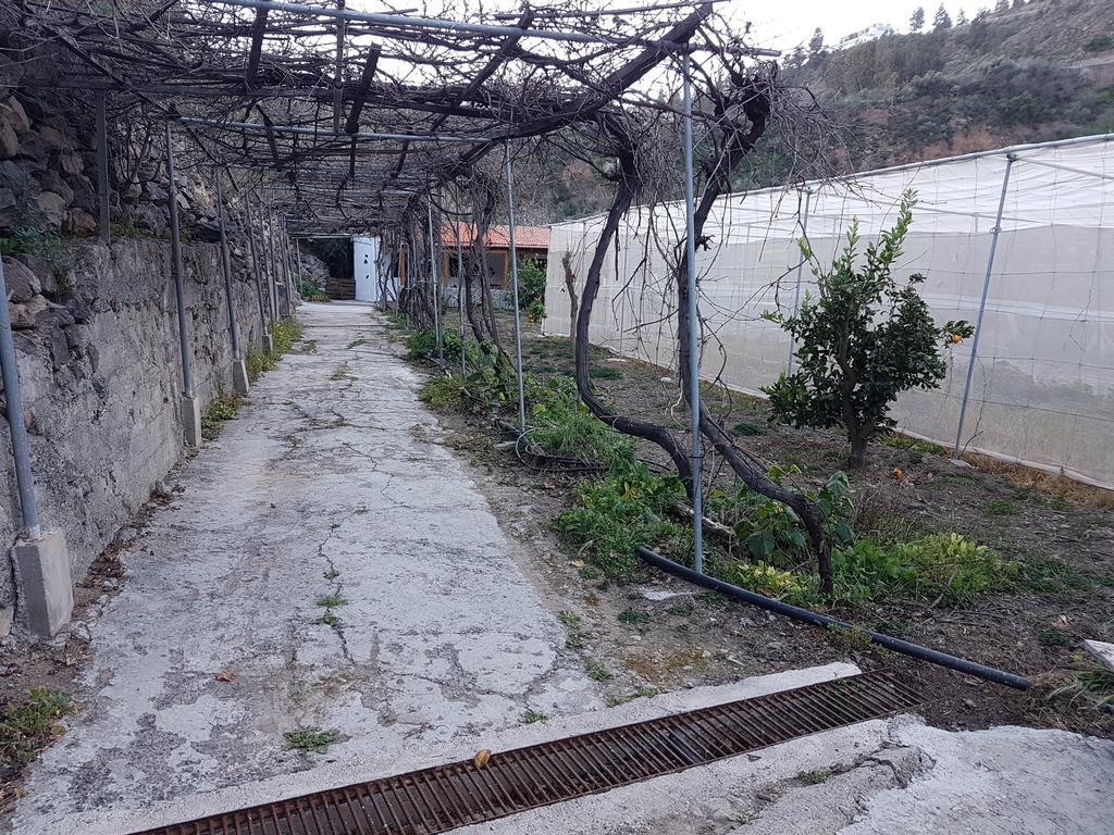 Casa Rural La Hoyita De Tunte San Bartolomé Kültér fotó