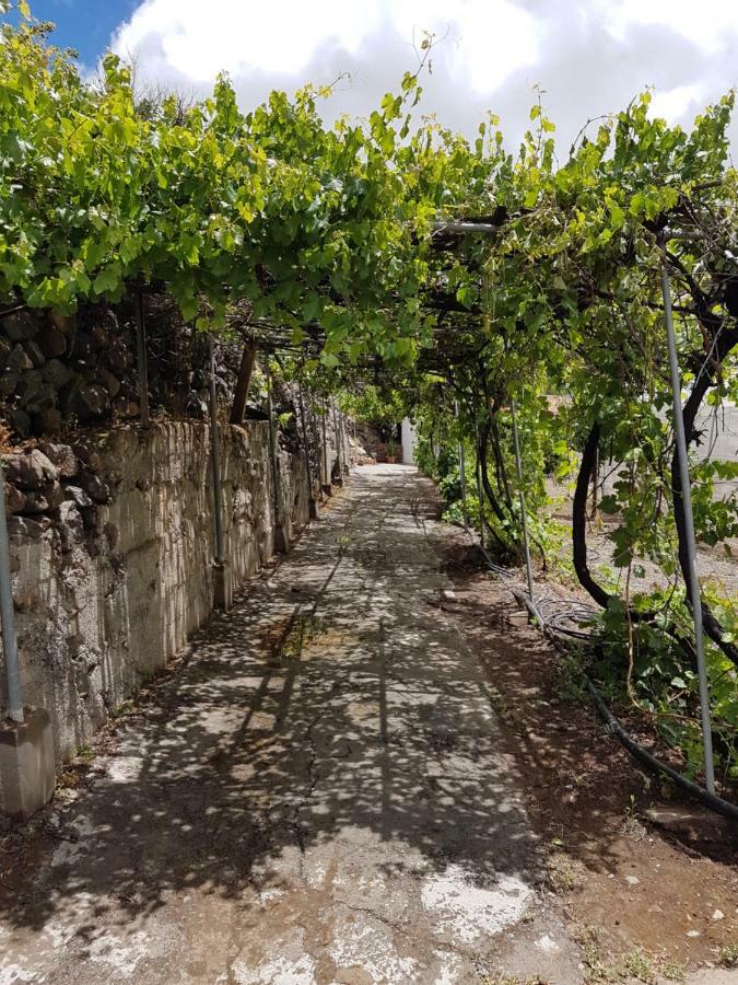 Casa Rural La Hoyita De Tunte San Bartolomé Kültér fotó
