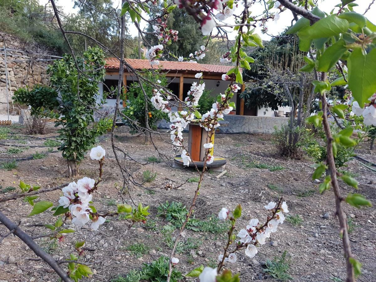 Casa Rural La Hoyita De Tunte San Bartolomé Kültér fotó