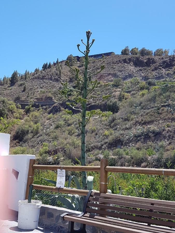 Casa Rural La Hoyita De Tunte San Bartolomé Kültér fotó
