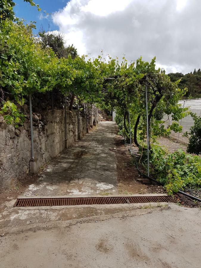 Casa Rural La Hoyita De Tunte San Bartolomé Kültér fotó