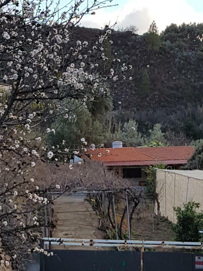 Casa Rural La Hoyita De Tunte San Bartolomé Kültér fotó