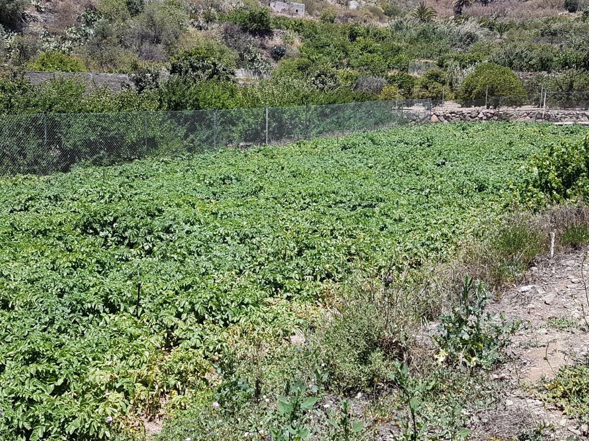 Casa Rural La Hoyita De Tunte San Bartolomé Kültér fotó